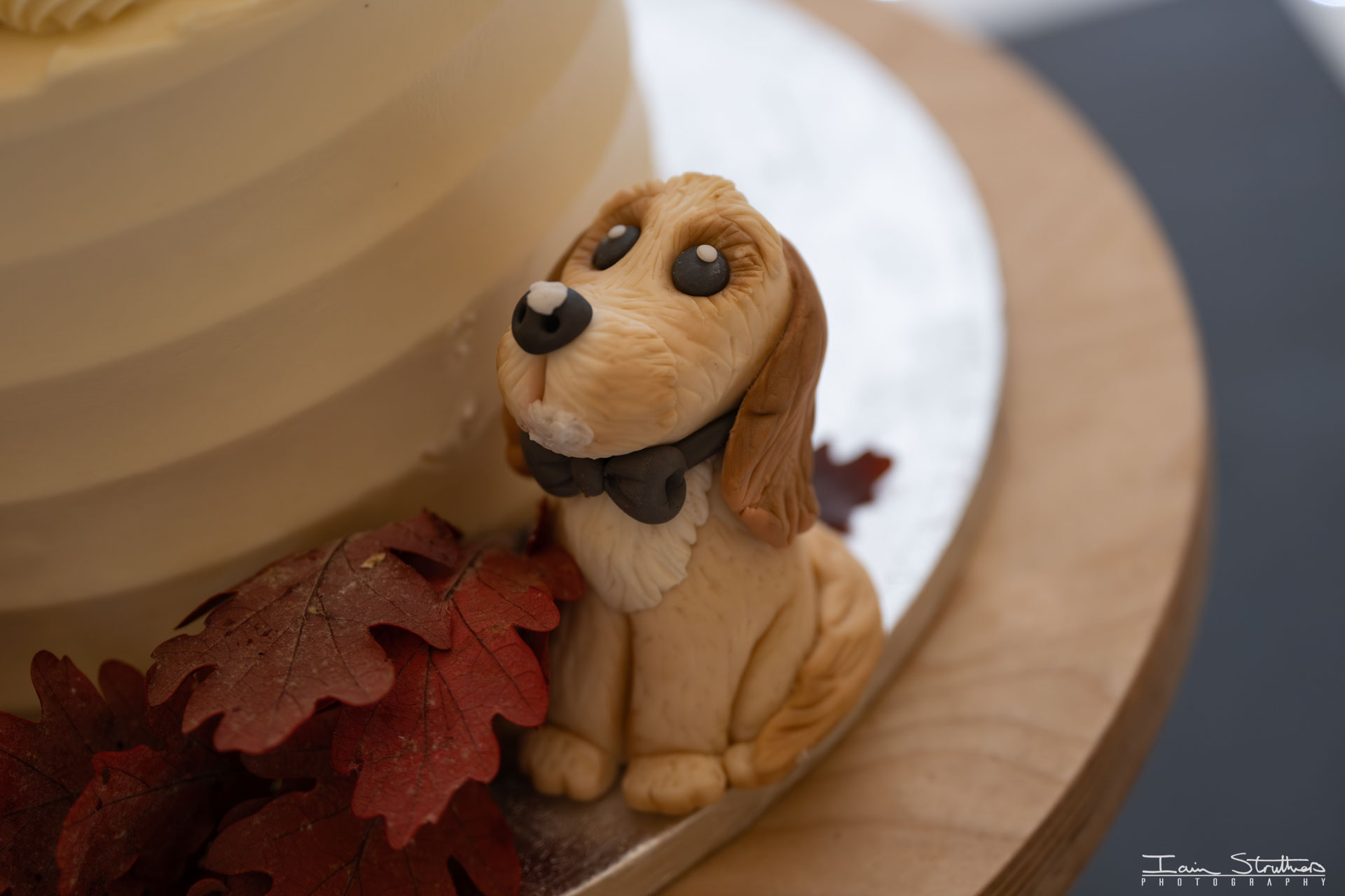 Gemma & Adam wedding photograph 67