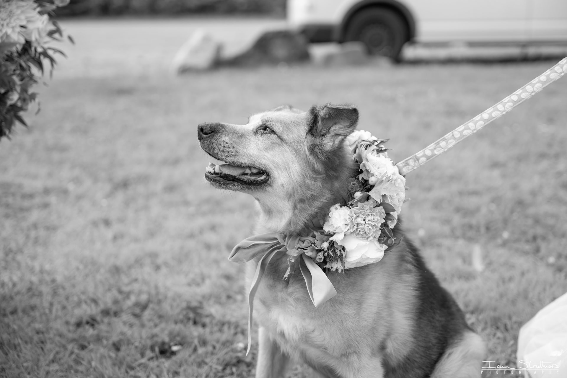 Katie & Joao wedding photograph 36