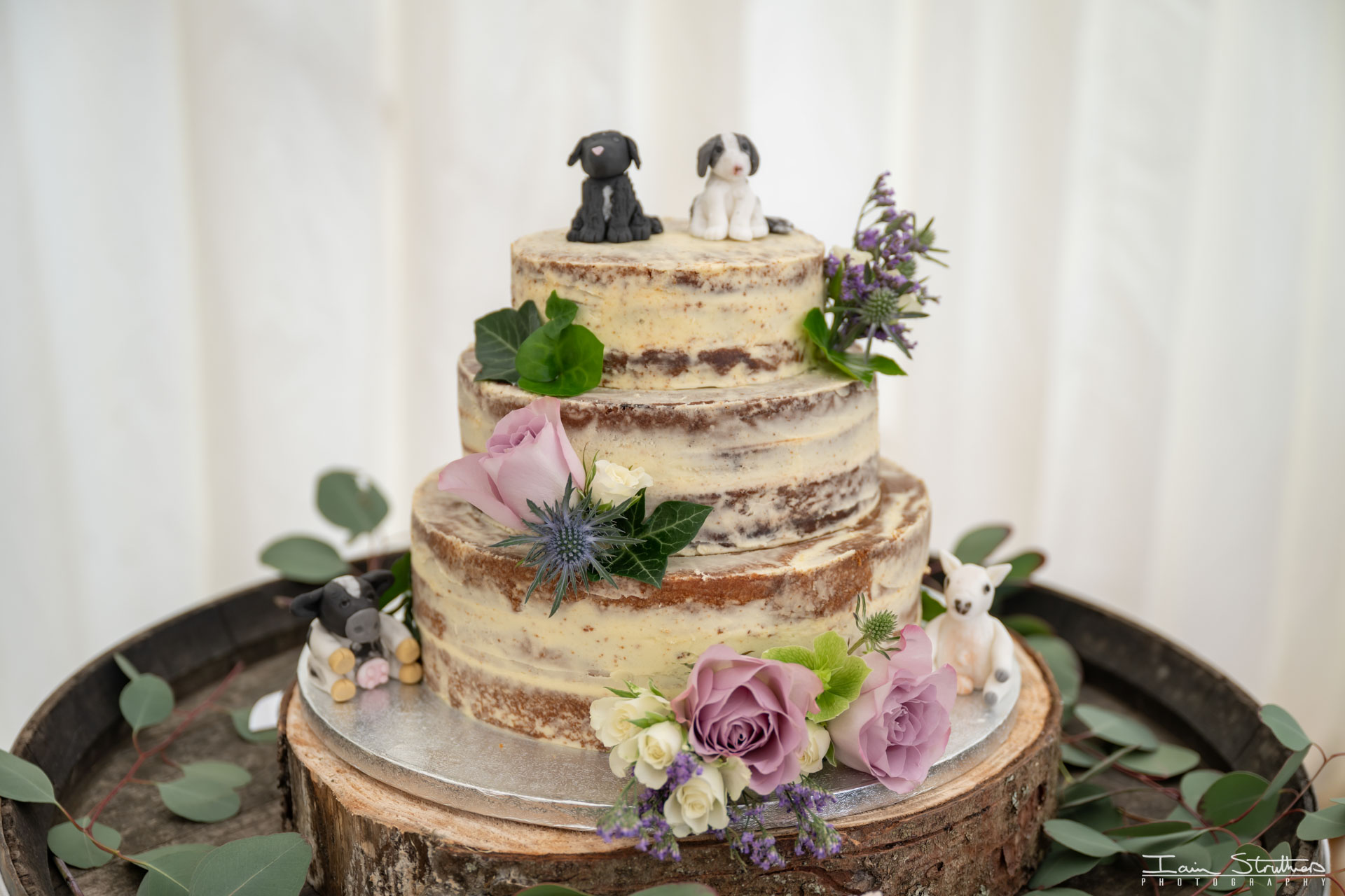 Kayley & Nick wedding photograph 42